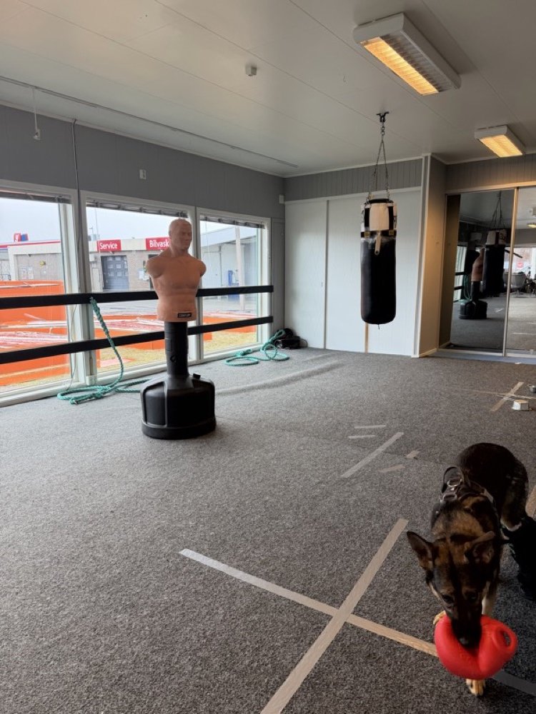 Wide gym with reflex ball and BOB