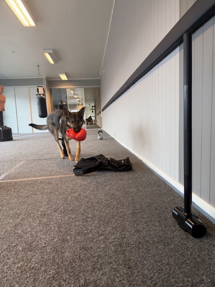 Kriger down the gym corridor