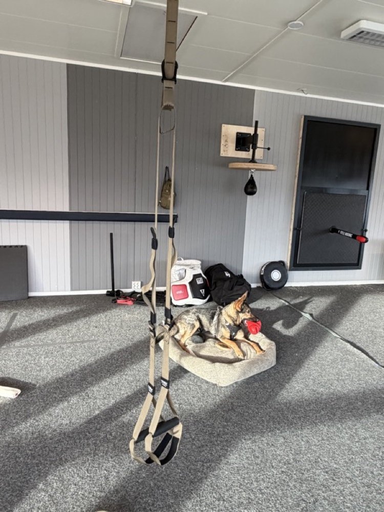 Equipment corner with TV, speed bag, TRX