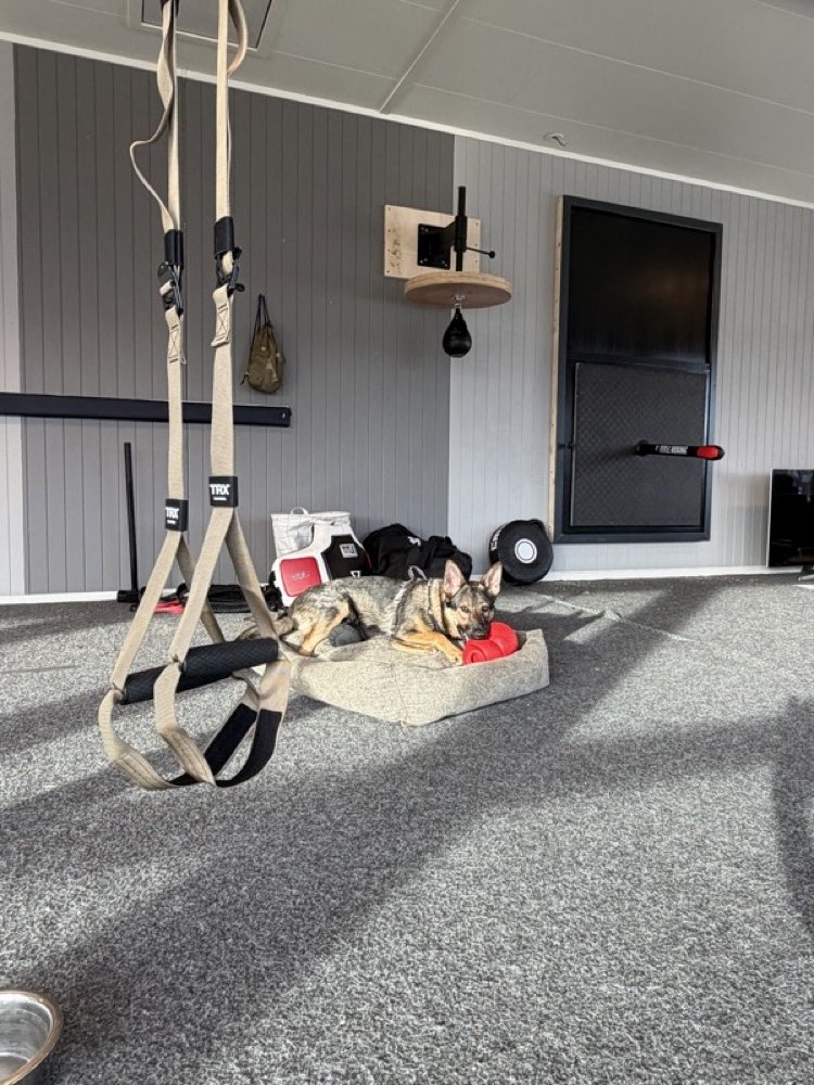 Wide angle with TRX straps